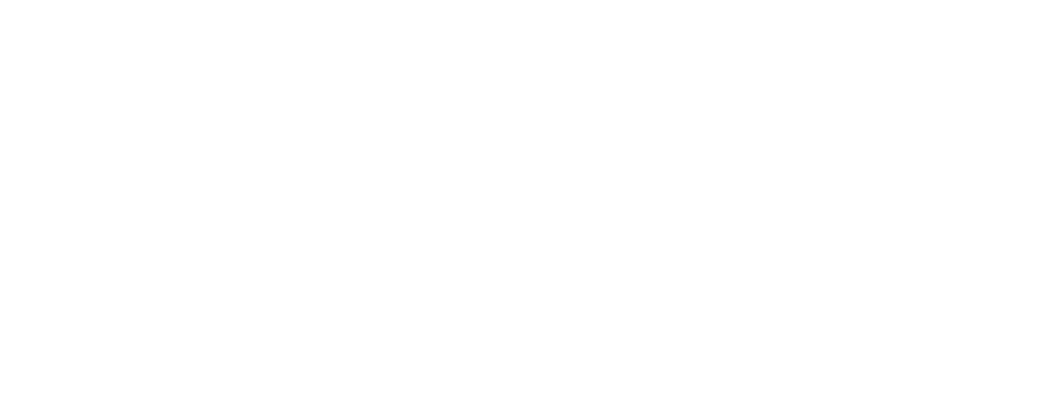 CS Technology Consultancy